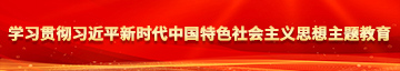 干B在线观看学习贯彻习近平新时代中国特色社会主义思想主题教育